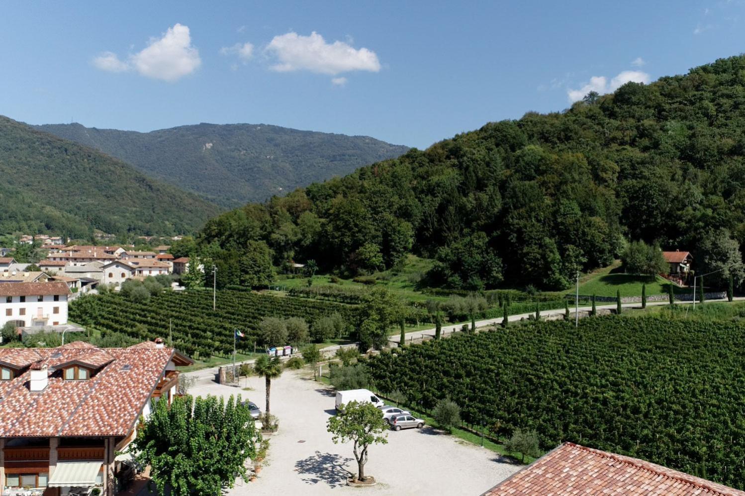 Wine Resort Faedis Buitenkant foto